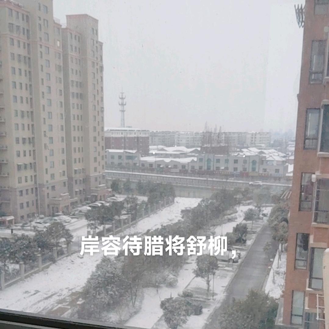 老玩童wpqg