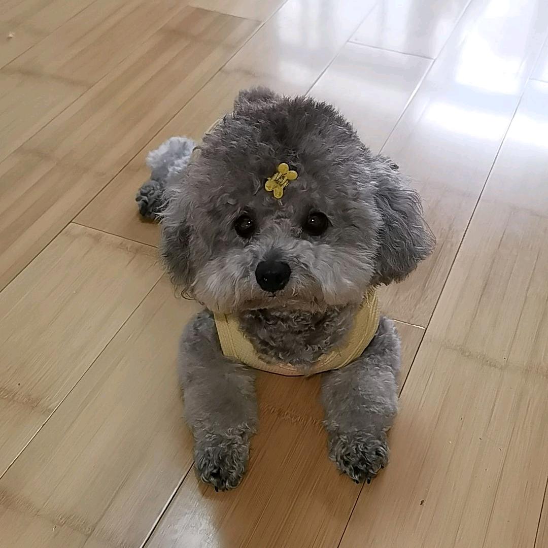 🐯神采奕奕🐯