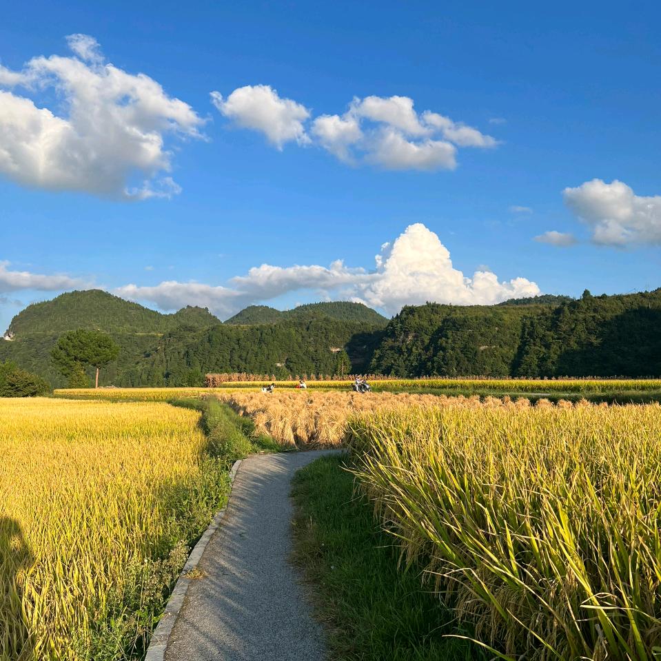 沂蒙乡愁
