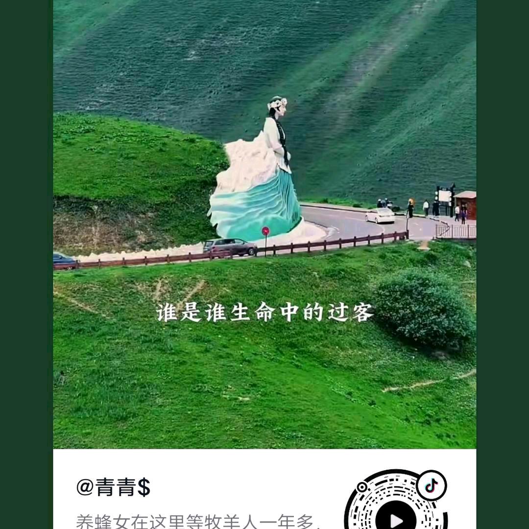 静听风雨