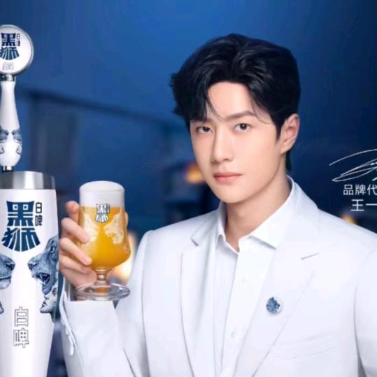 河南黑美人精酿啤酒供应链