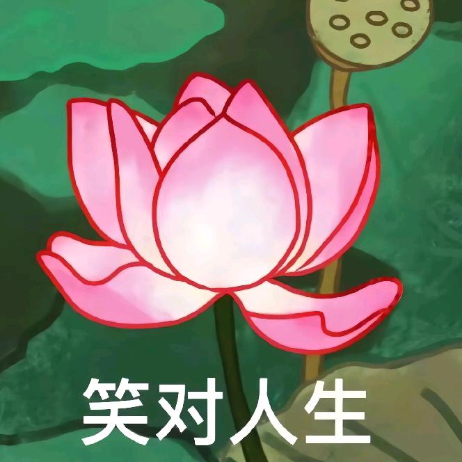 我们的生活方式越来越喜欢
