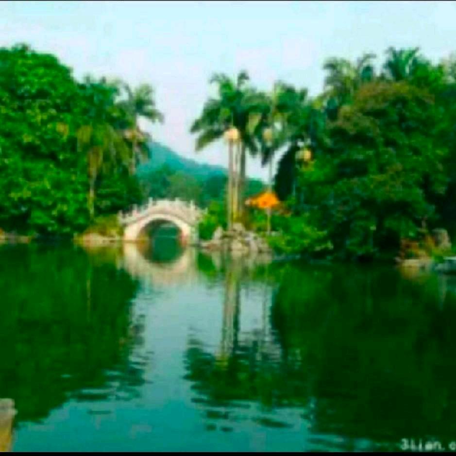 黄二妹（下午16：50-17：00直播）