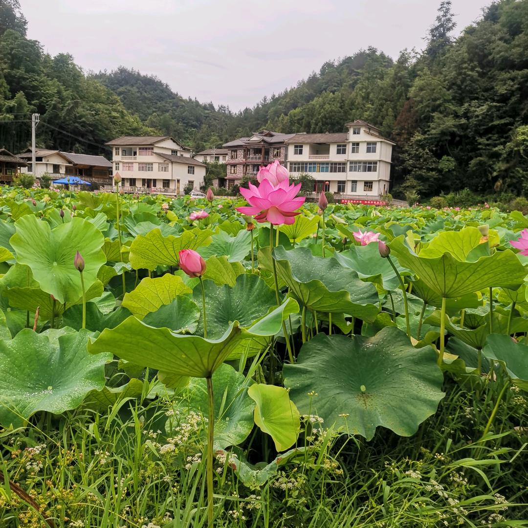在对的时间遇见你