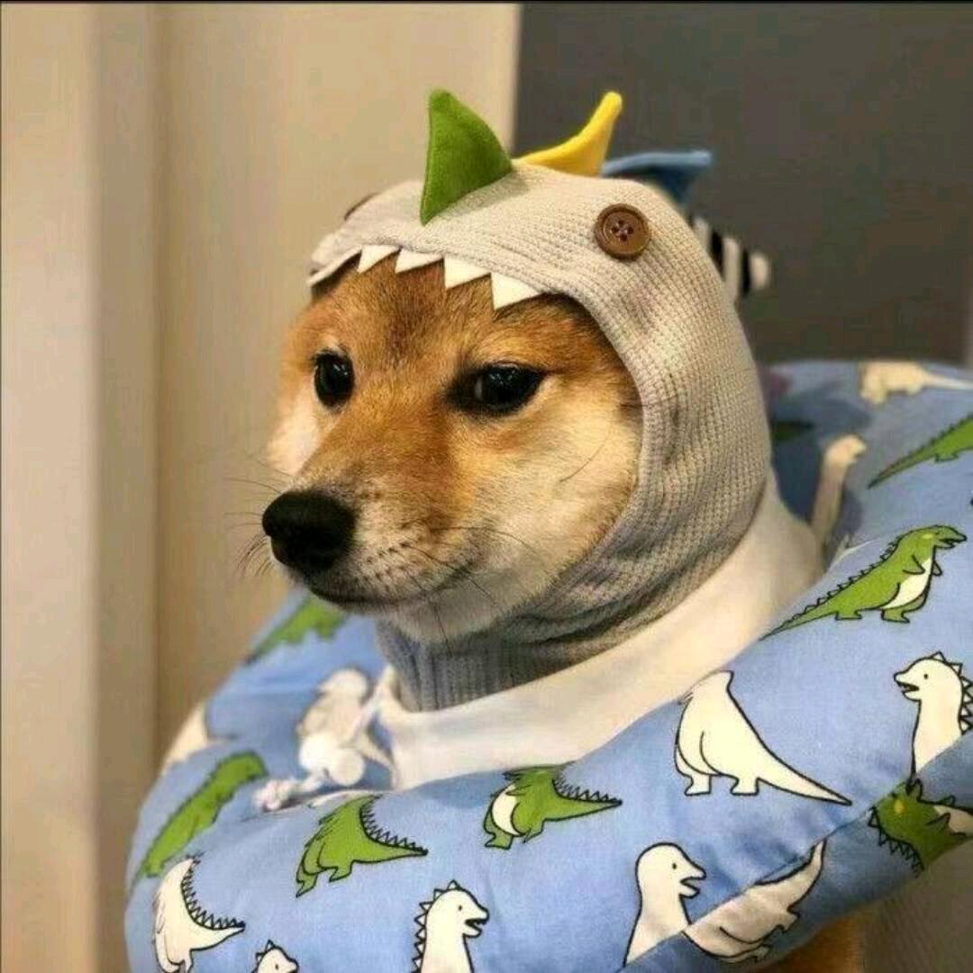 小魚の心事