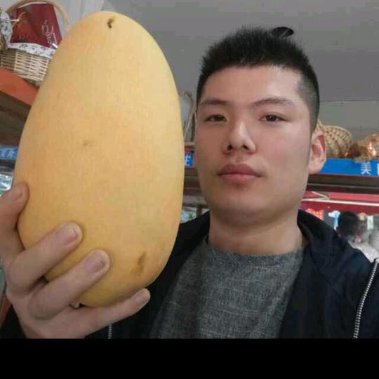 太阳8