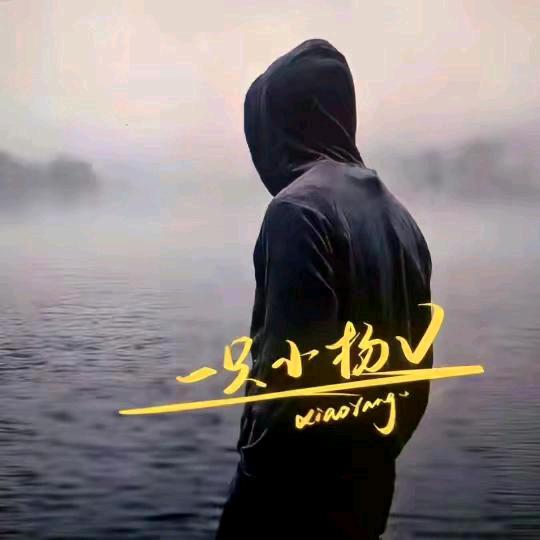 用户94158709