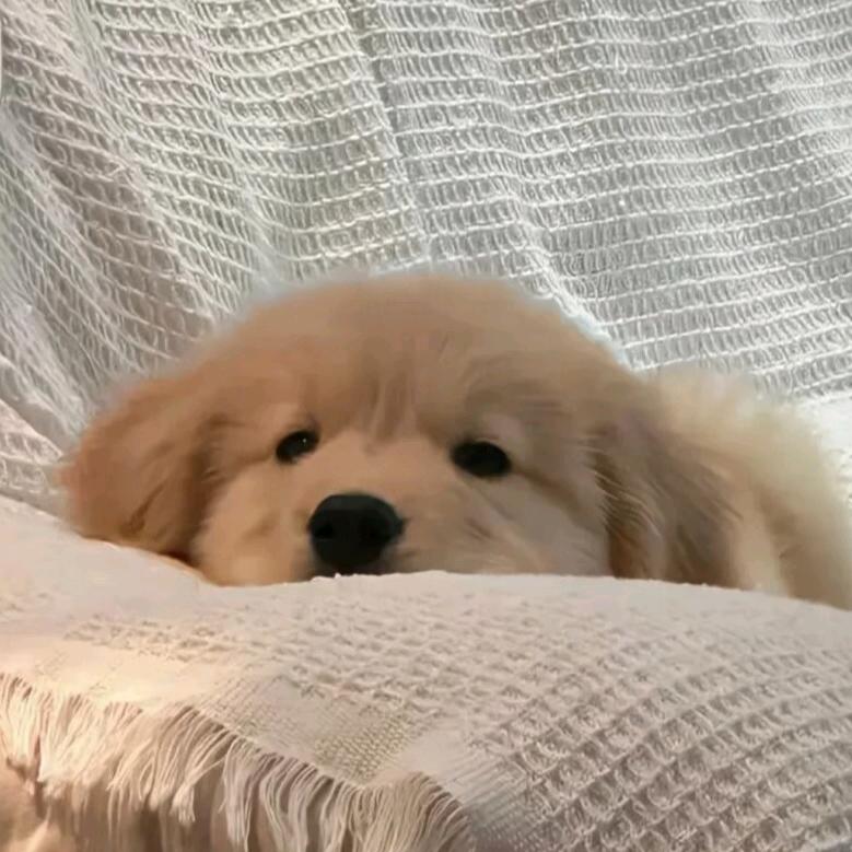 楠.🐾
