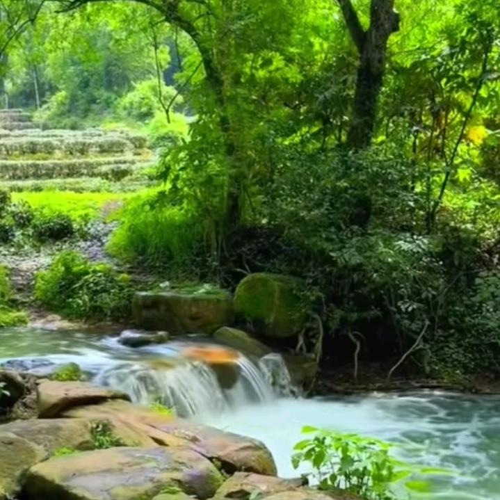 水波