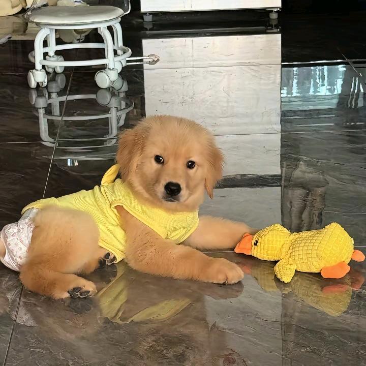 💞ꦽ为自己而活ꦿꦼ࿆⁵₂ᐤ