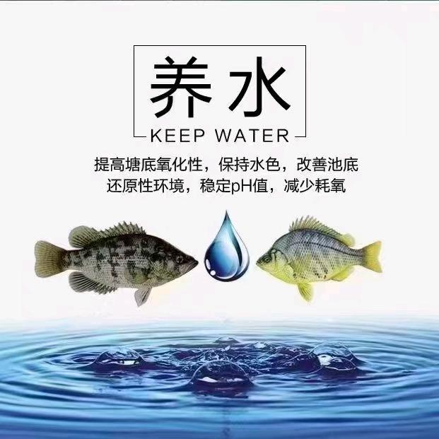 金佰牧～佰牧鱼