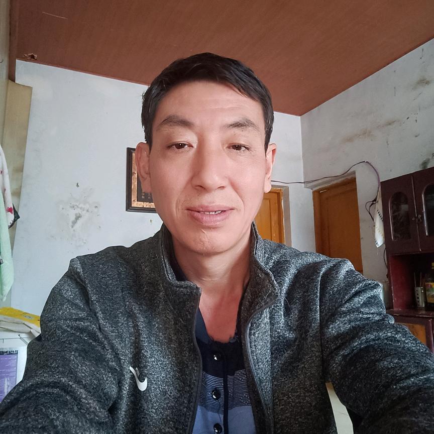 随意而安