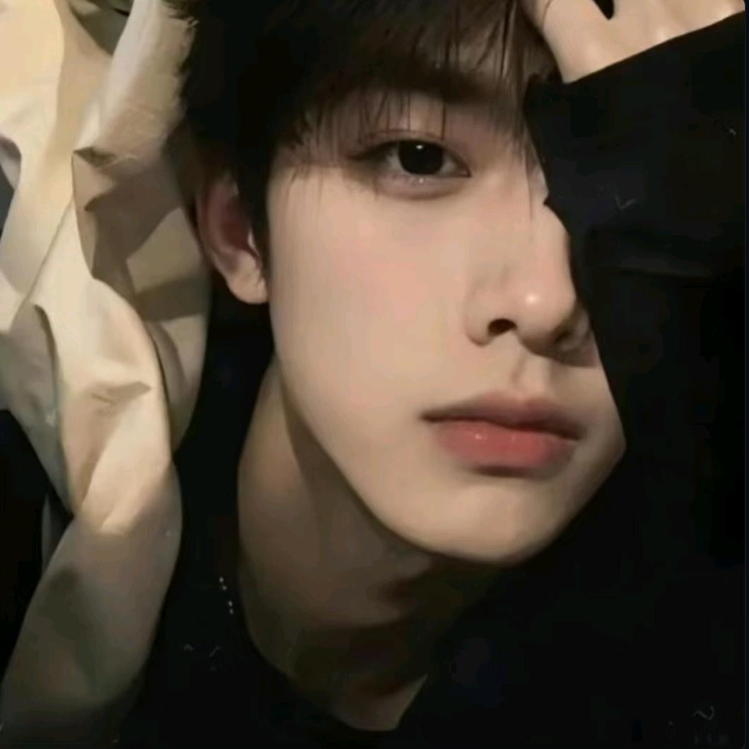 蜂蜜小熊