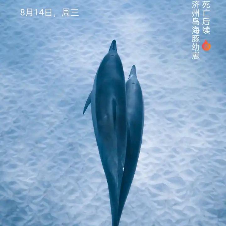 勿忘