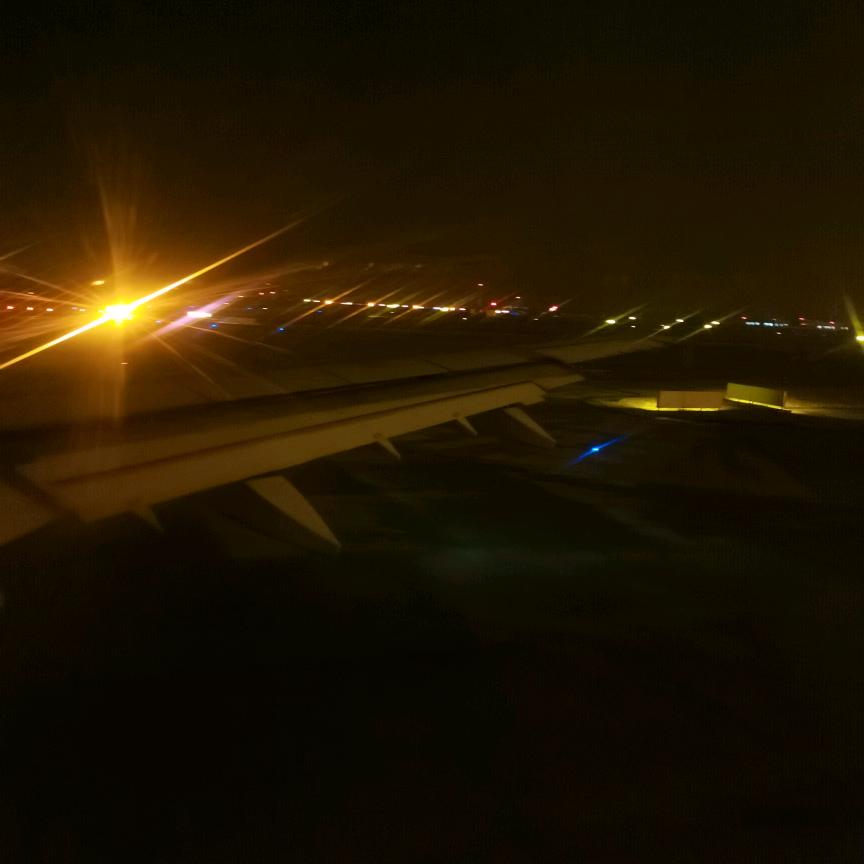 小马