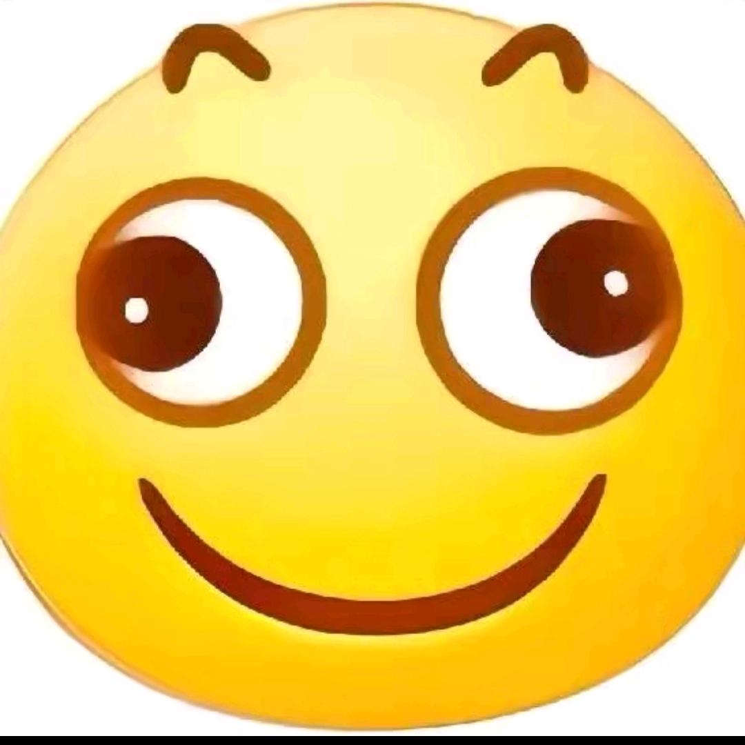 老凉loling.（玩无人机版）