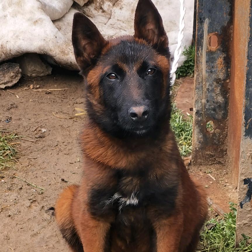 别动 我🈶️👉