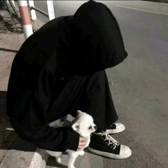 人生刚开始