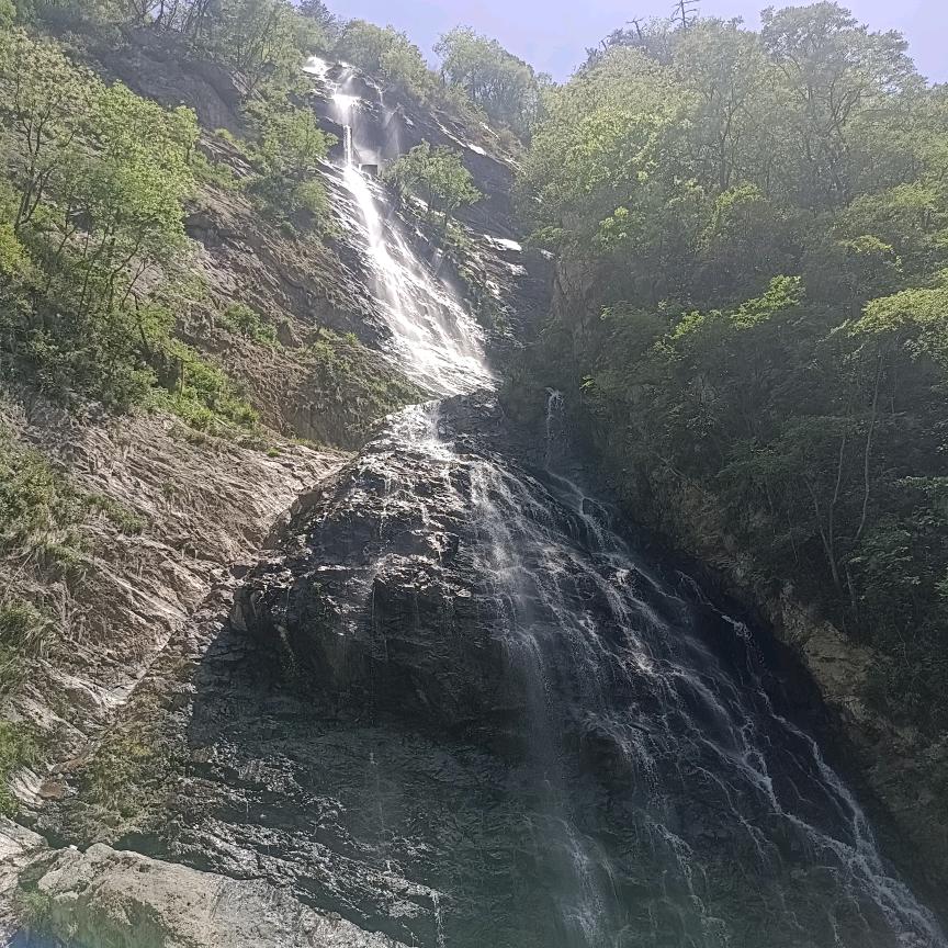相濡以沫