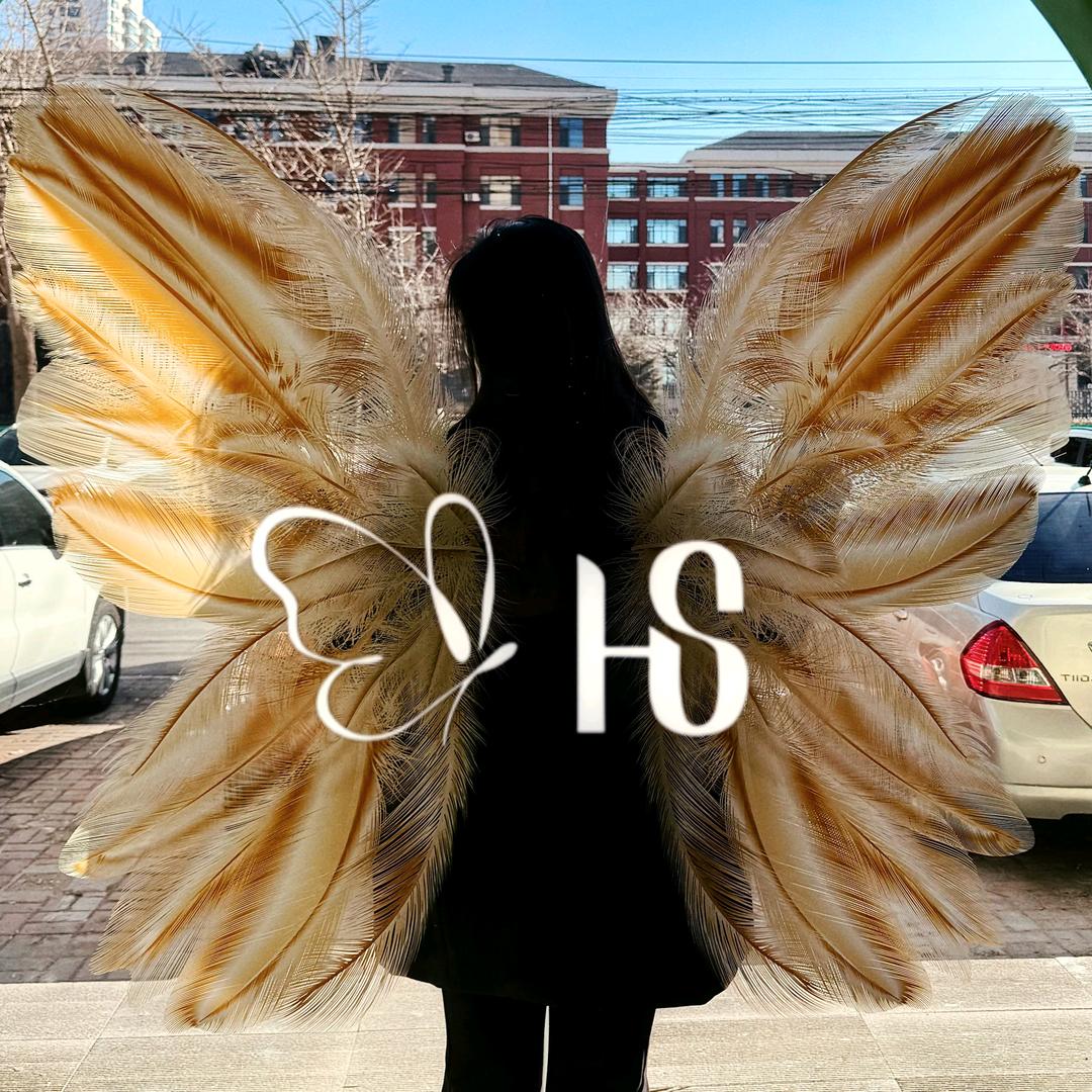 鞍山何氏奈斯HS