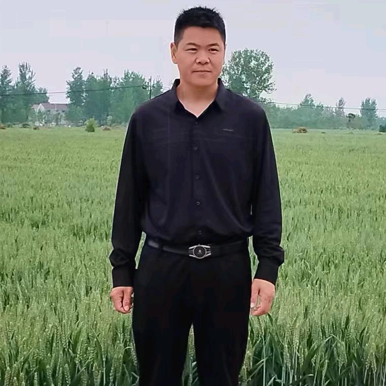 阿伟聊三农