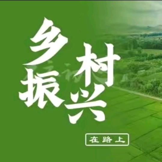 宁陵县鑫丰种植家庭农场！