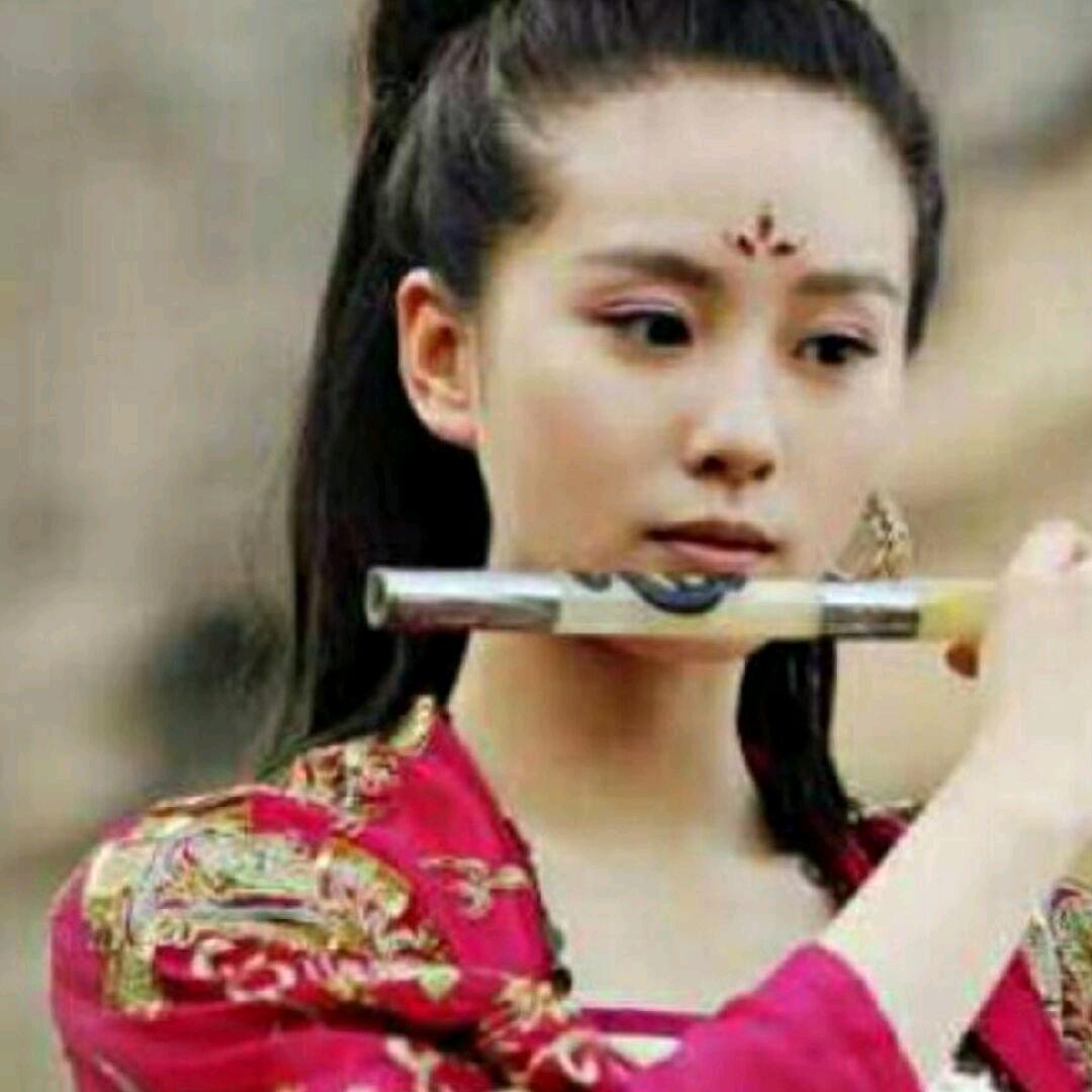 蝴蝶飛，群主