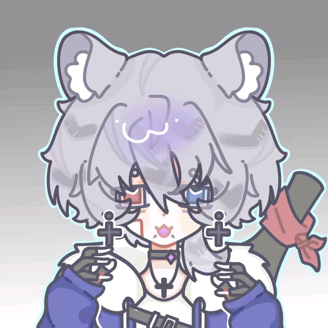十.齐奈德斯.十