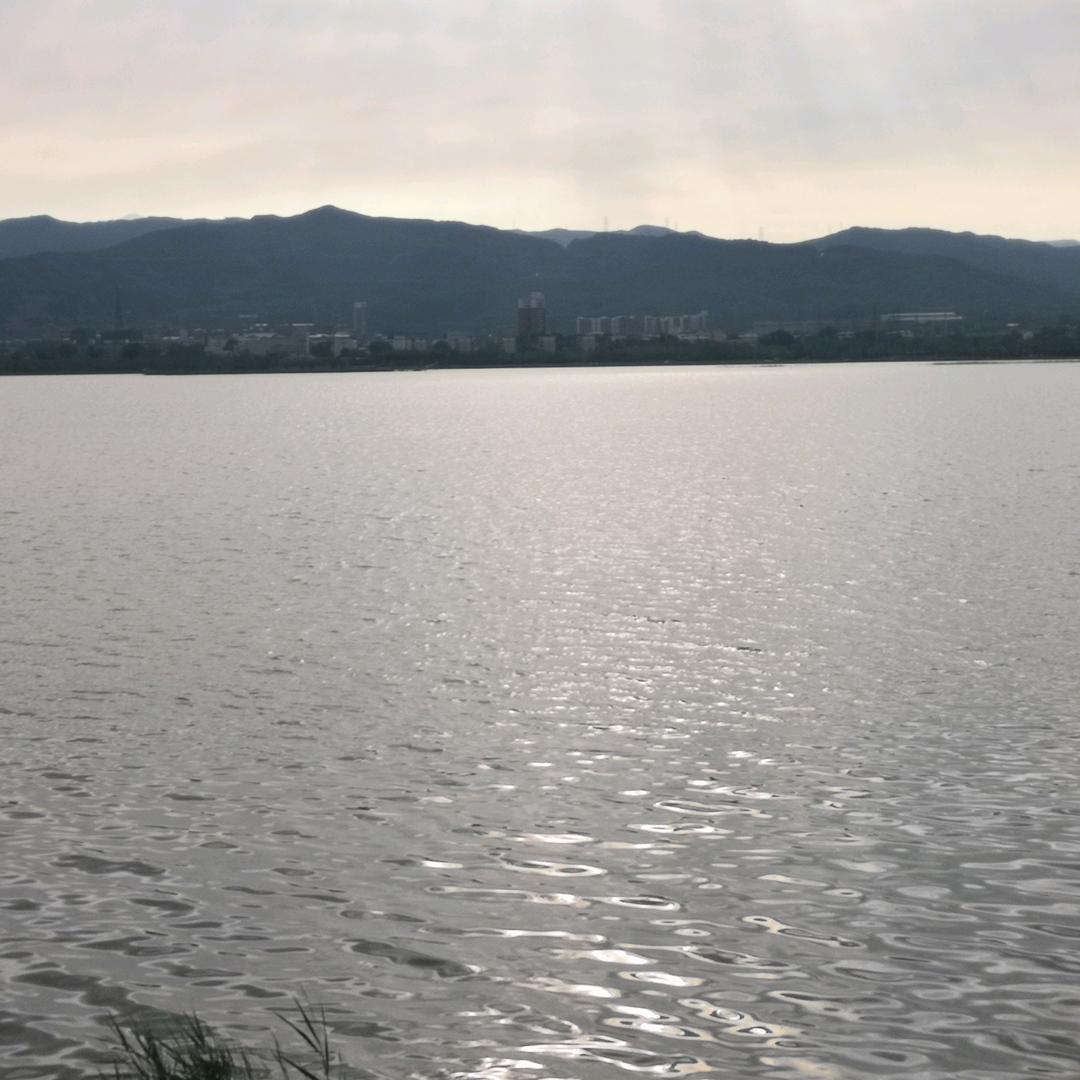 杜流水