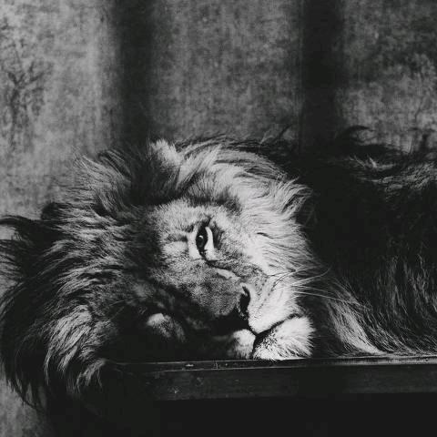 𝔅.𝔅.𝔑.𝔩.𝔪💔