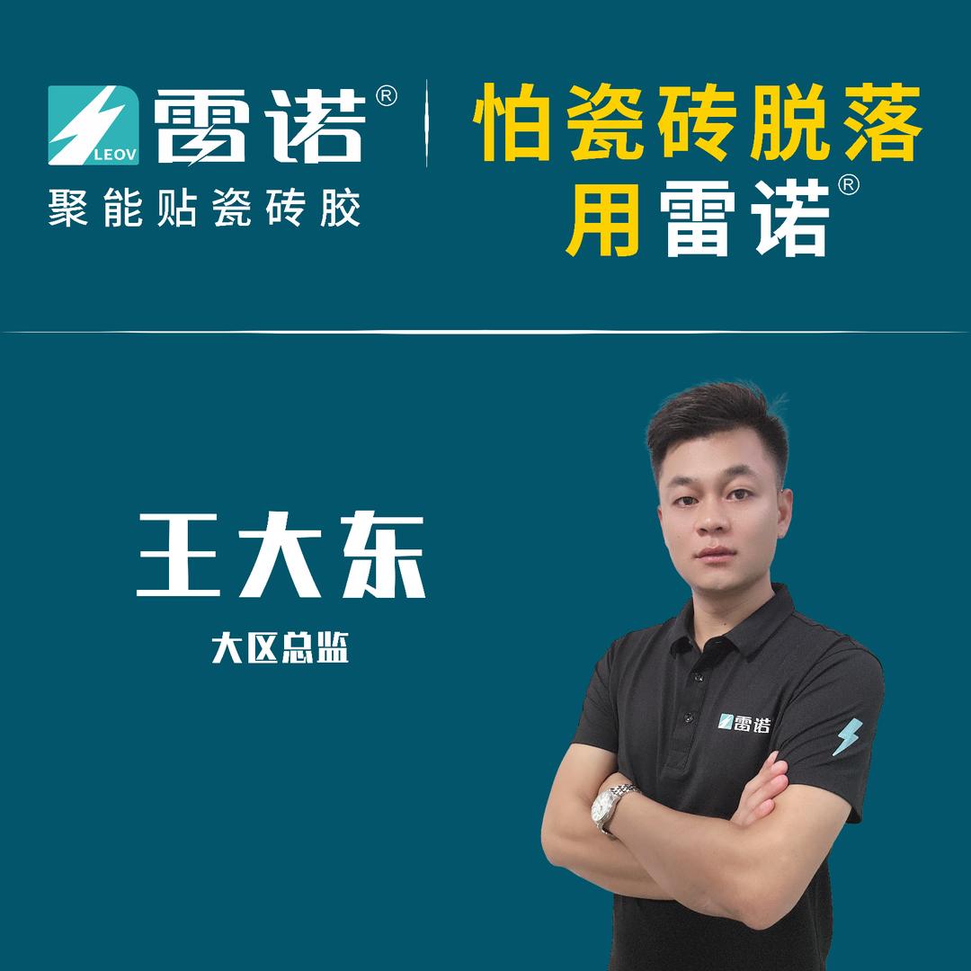 雷诺聚能贴瓷砖胶 王大东