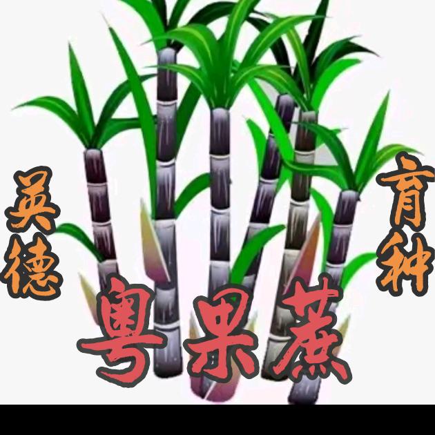 粤果蔗农业科技