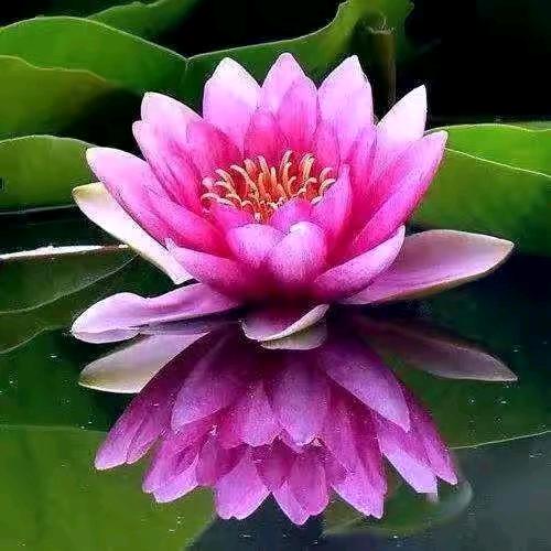春暖花开