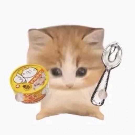 木之