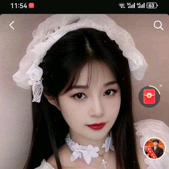 红尘优雅，红燕