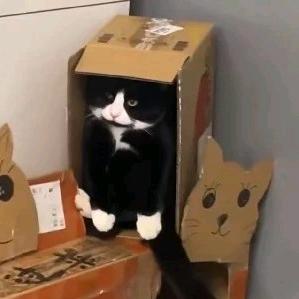二首灵感大王