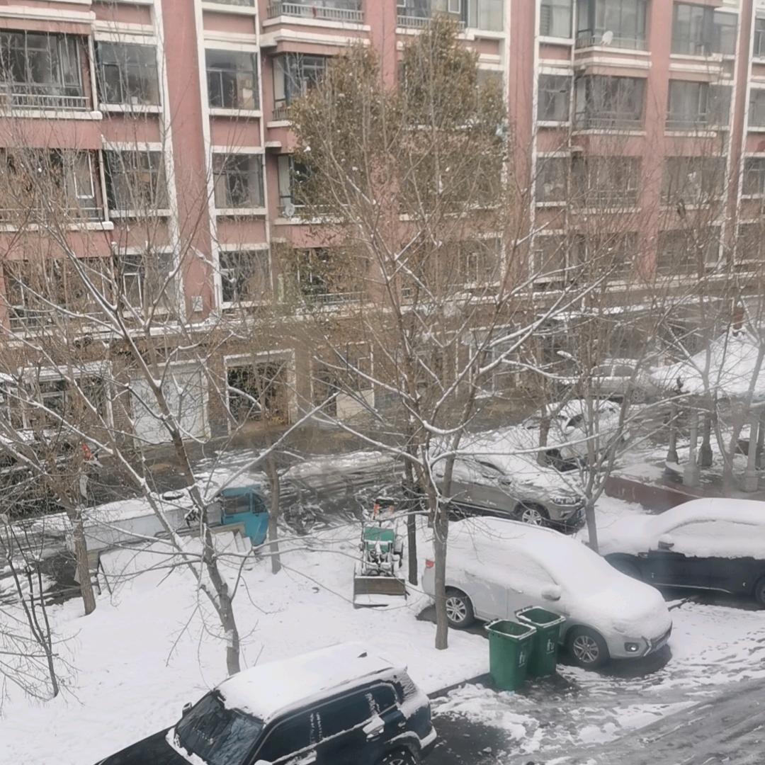 露露露娜