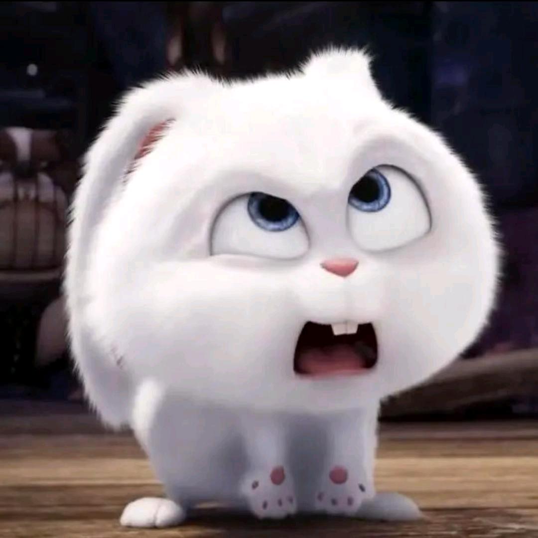 喵喵小奶瓶🍼✨