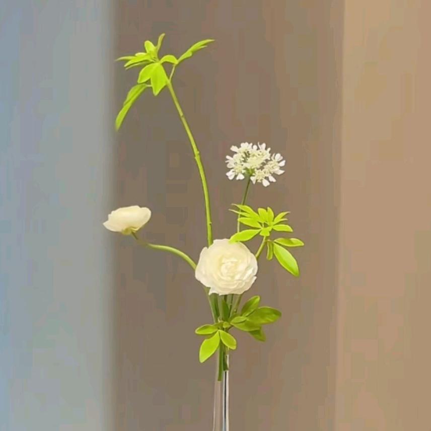 爱喝茶的女孩👧