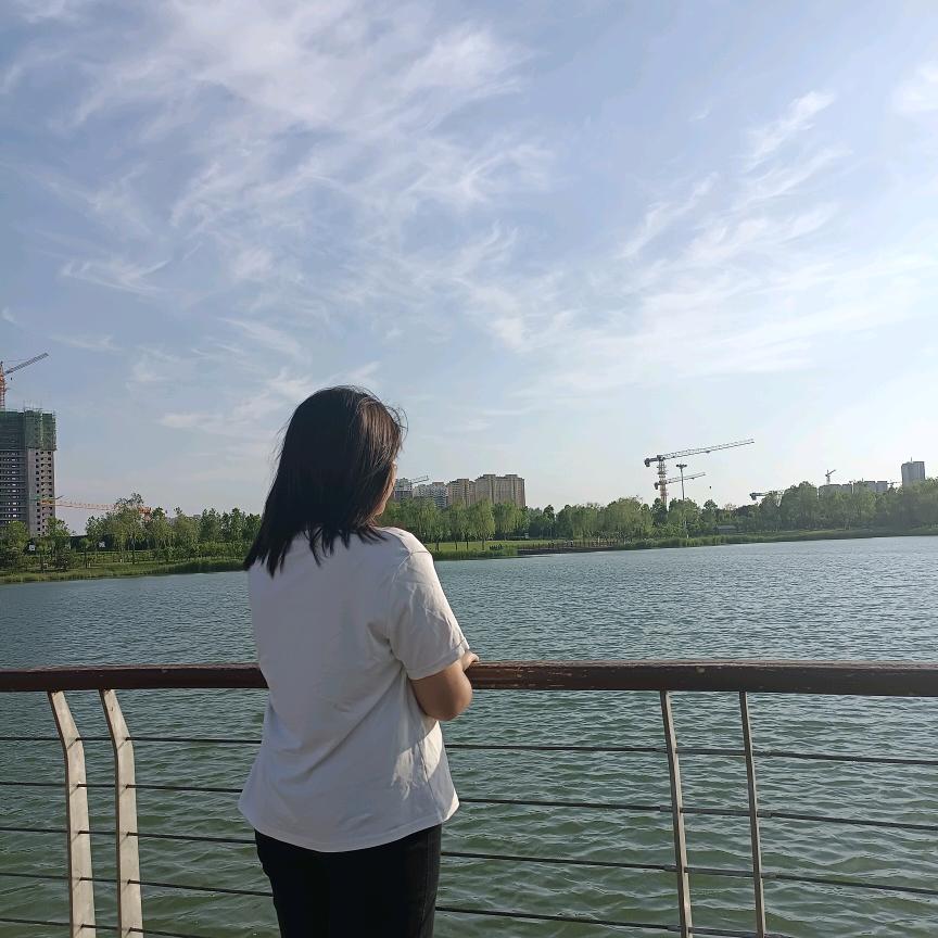 细宇纷菲