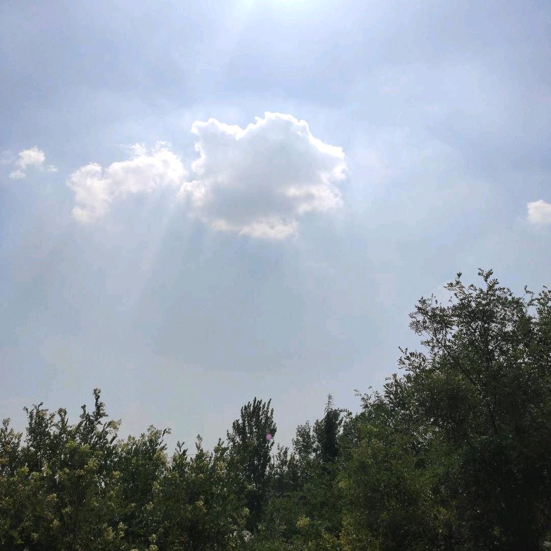 王婆说媒【每日更新】