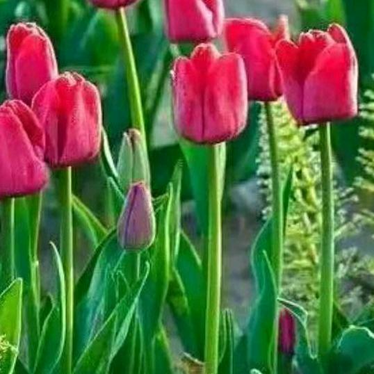 ❤️❤️心李有你❤️❤️