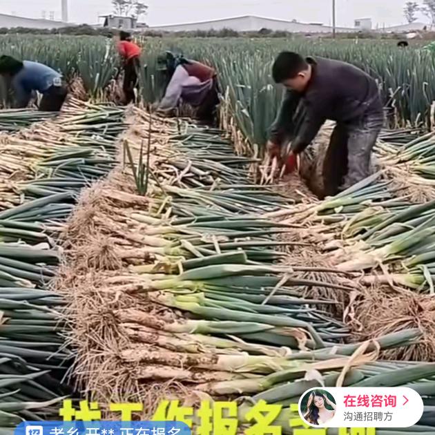 盈通咨询培训