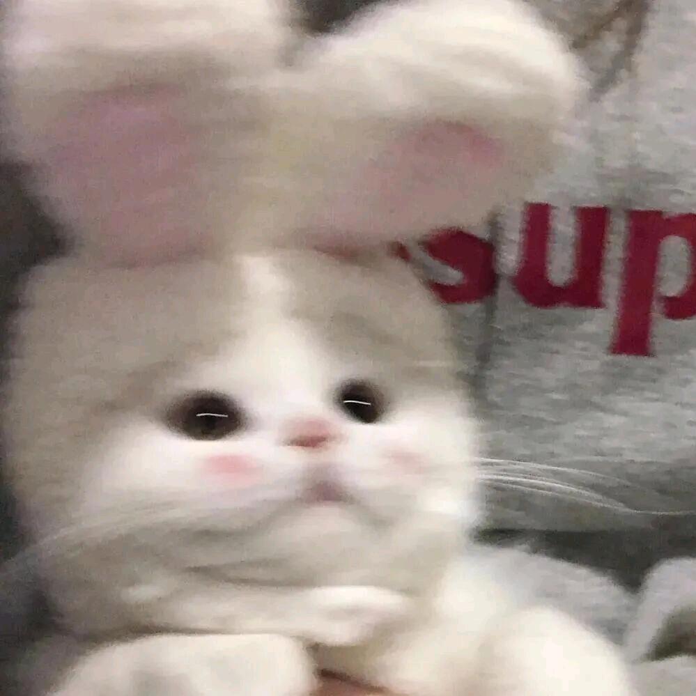 你洗了蒜了头像