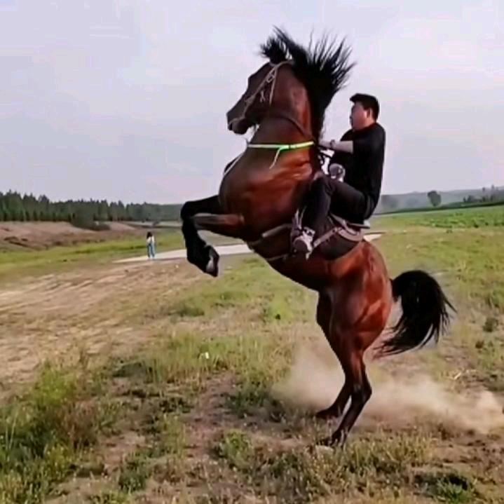 劳资蜀道山