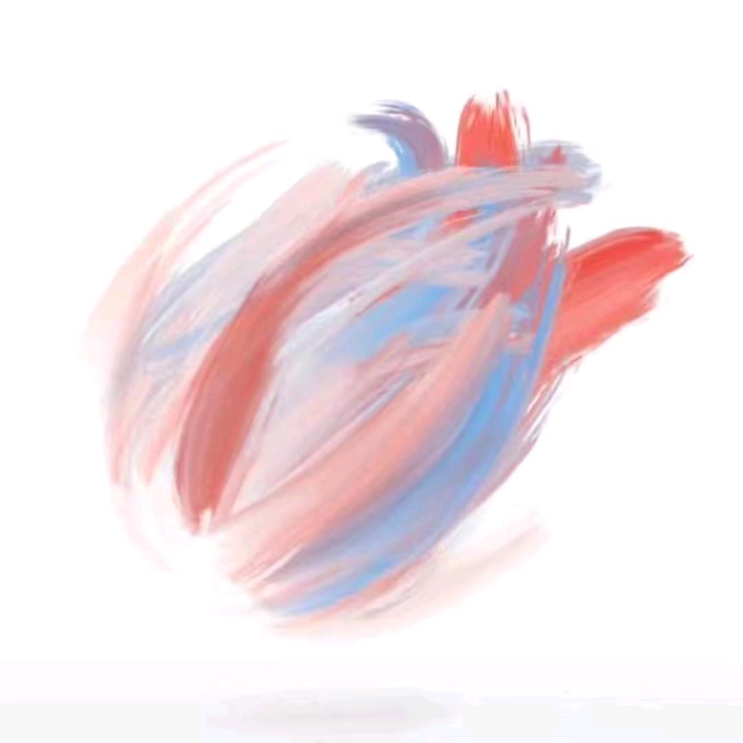 坚果