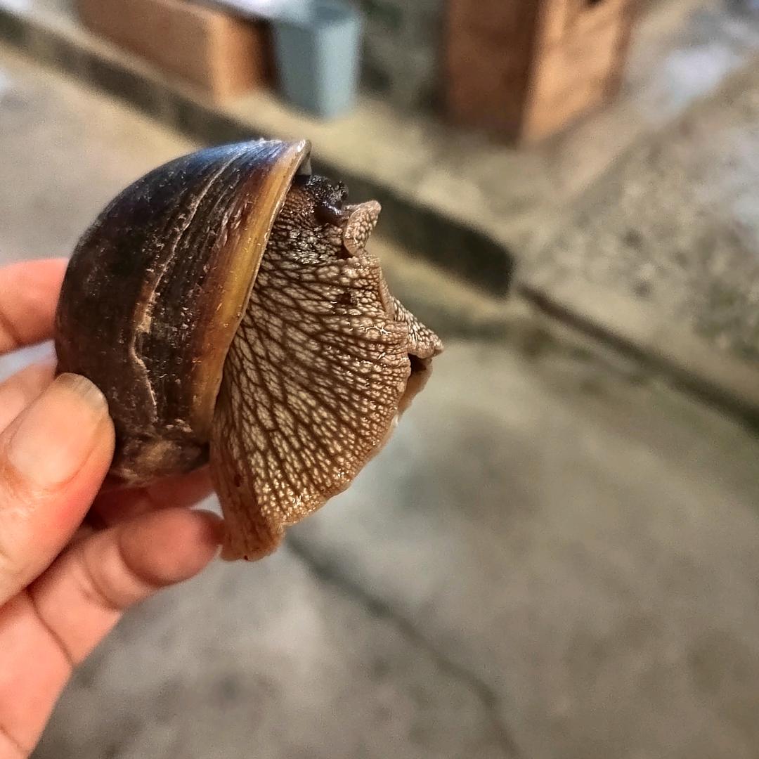 随爱而安