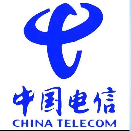 电信新星卡29元流量版电话卡手机卡电信卡