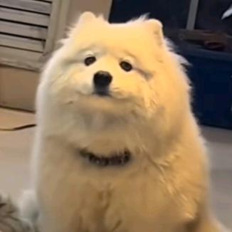 顺其自然就好了