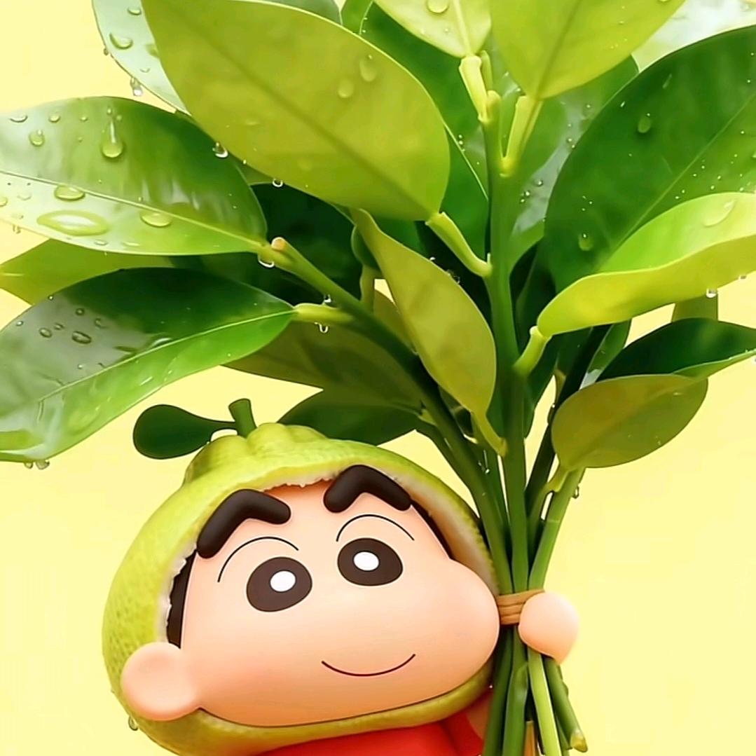 糖宝不甜